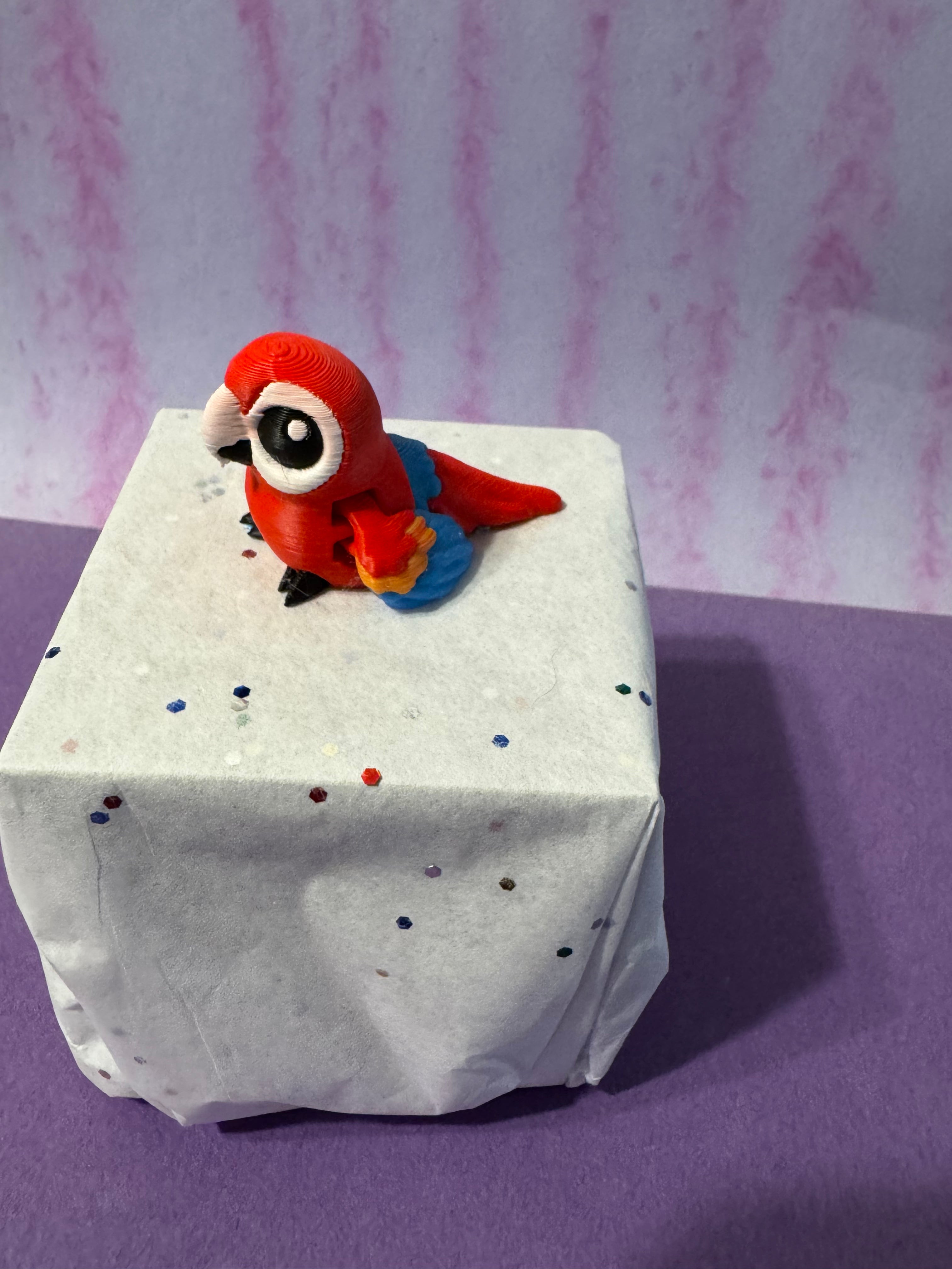 Parrot Hatchling