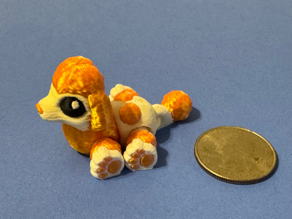 Poodle Hatchling