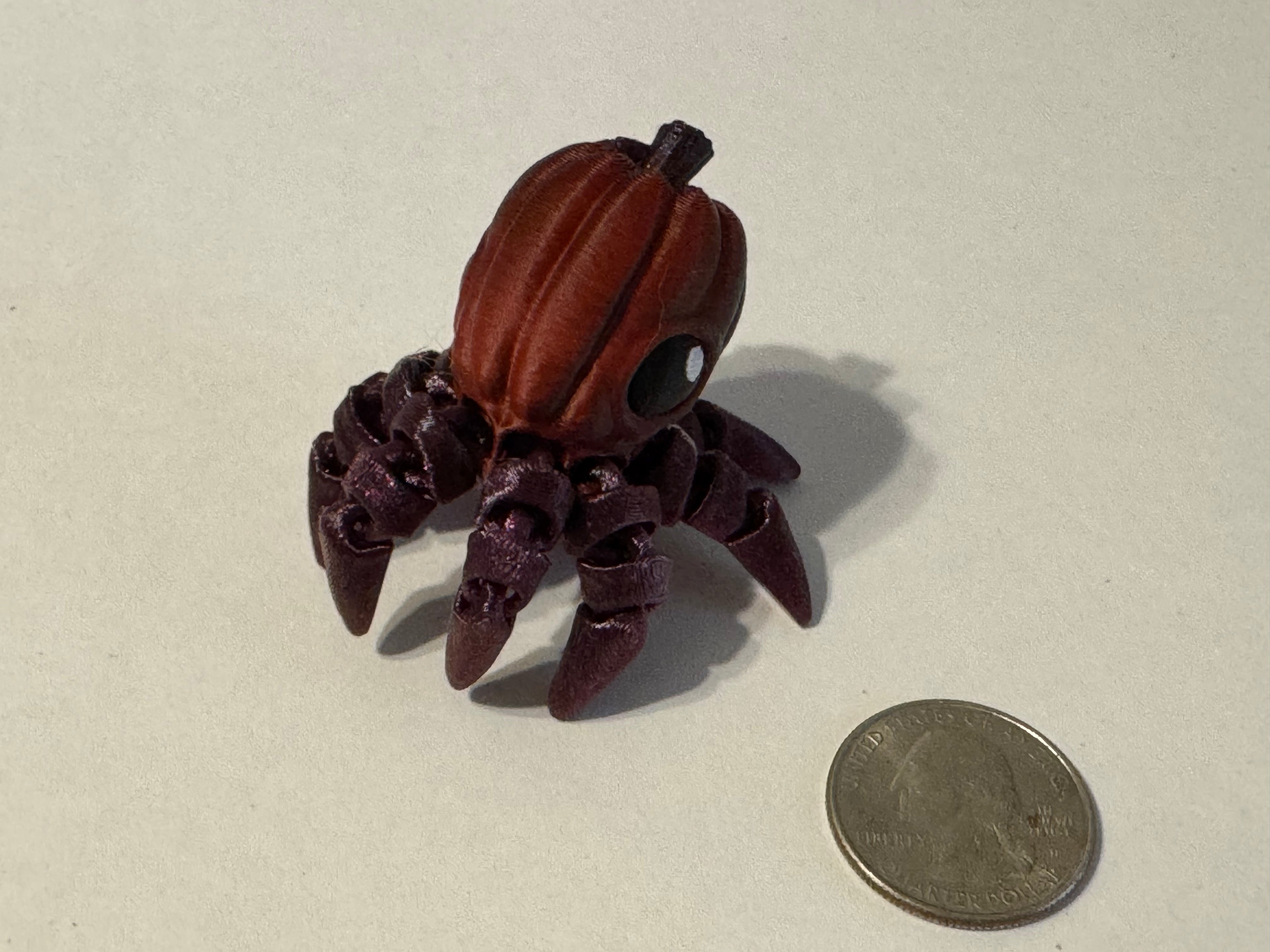 Pumpkin Octopus - Hatchling