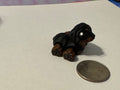 Rottweiler Hatchling