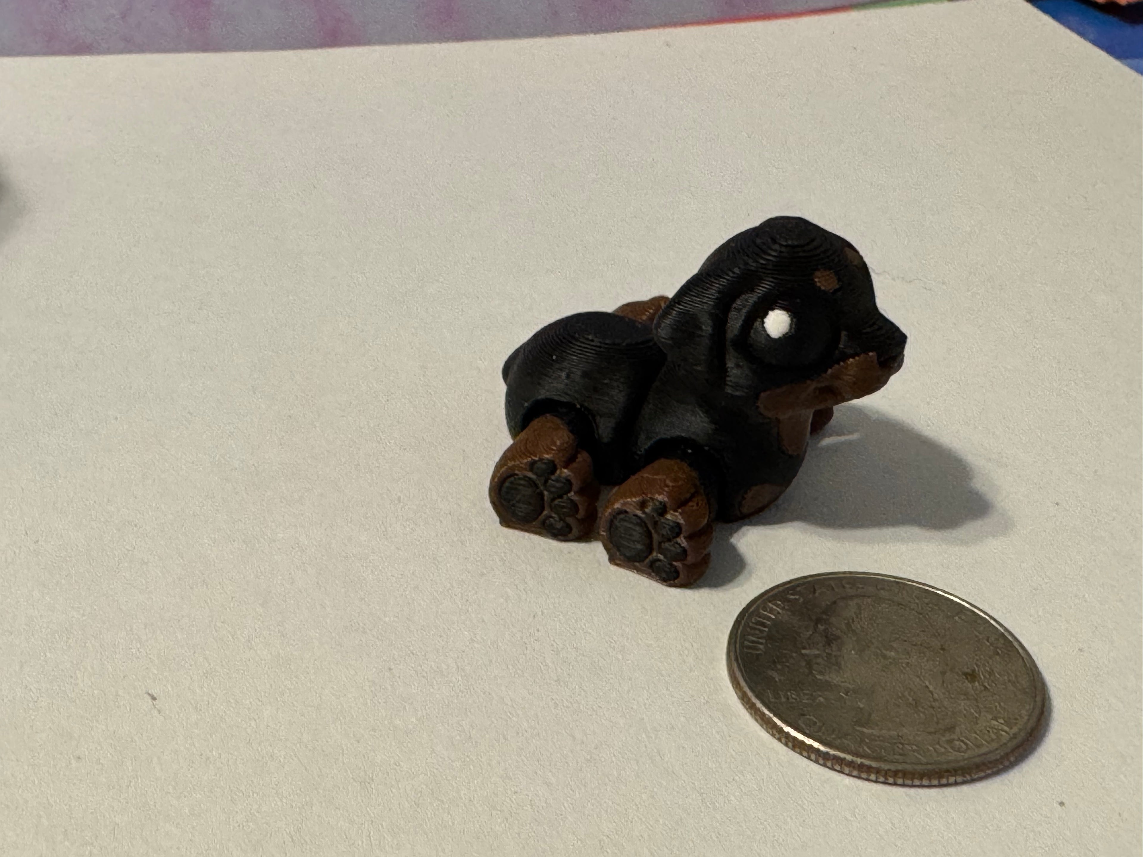 Rottweiler Hatchling