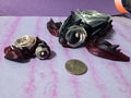 Rose Turtle