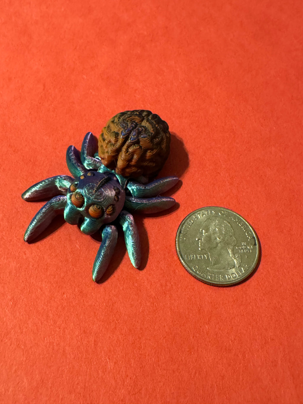 Brain Spider