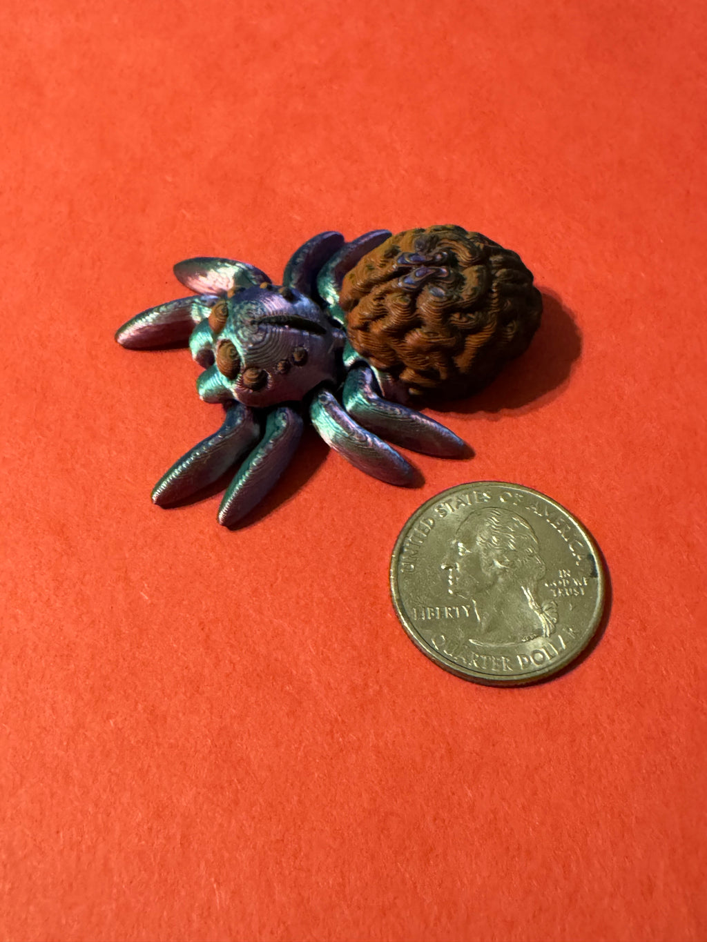 Brain Spider
