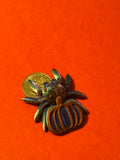 Pumpkin Cookie Spider