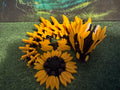 Baby Sunflower Dragon