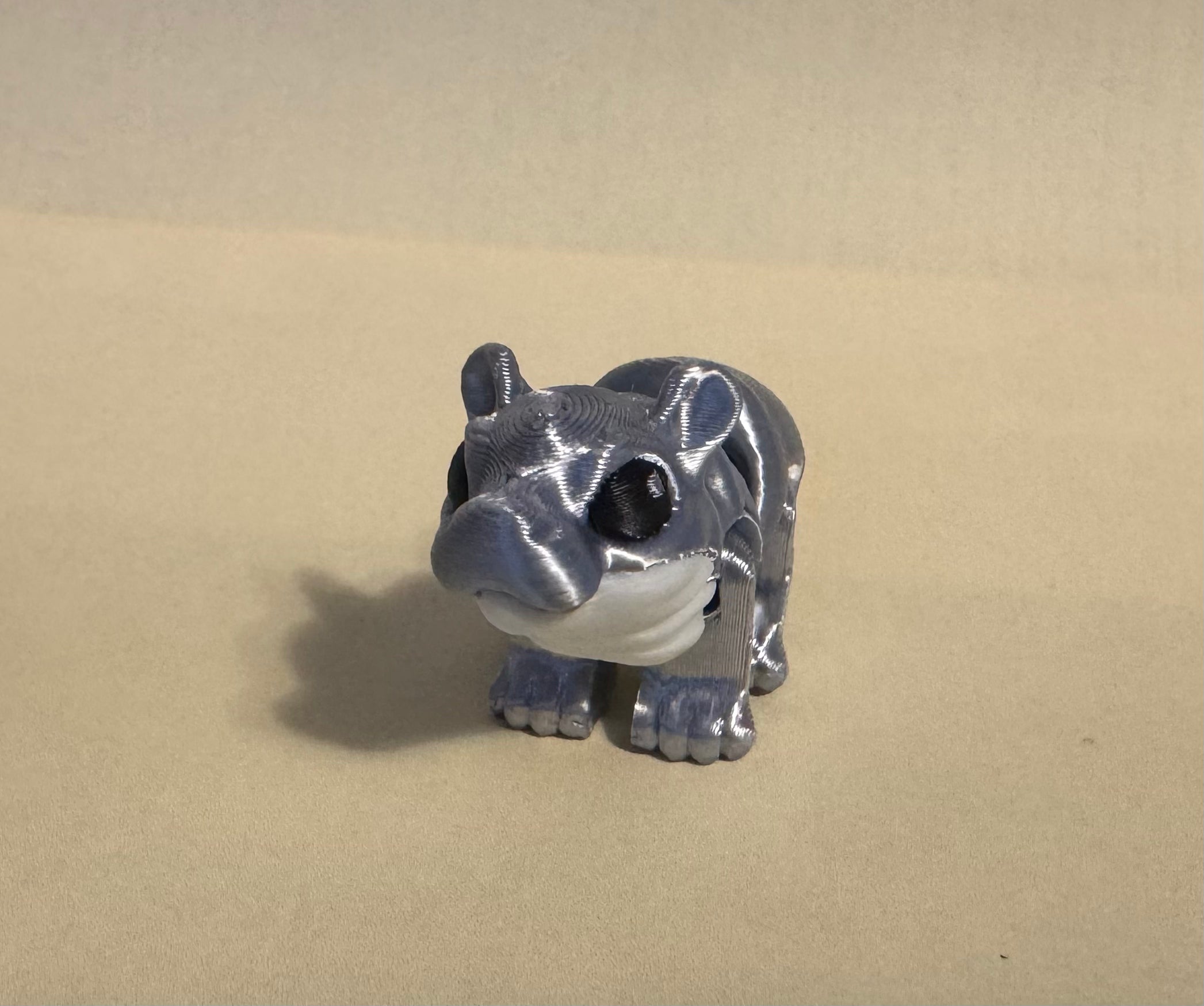 Hippo Hatchling