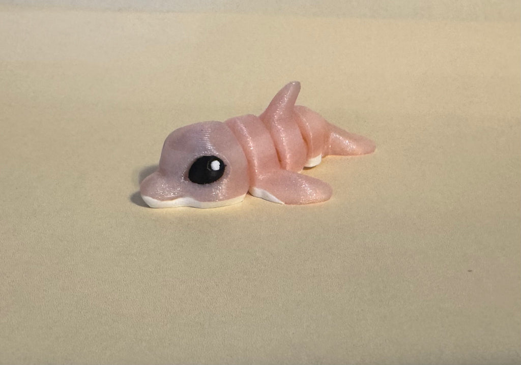 Dolphin Hatchling