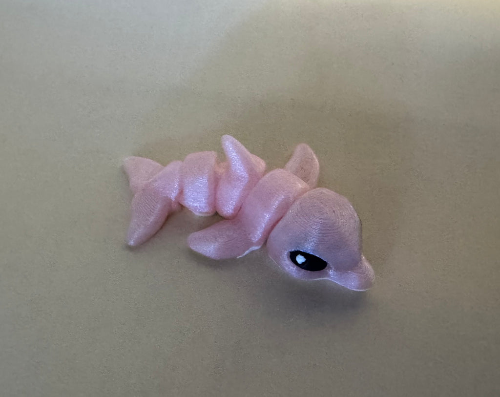 Dolphin Hatchling