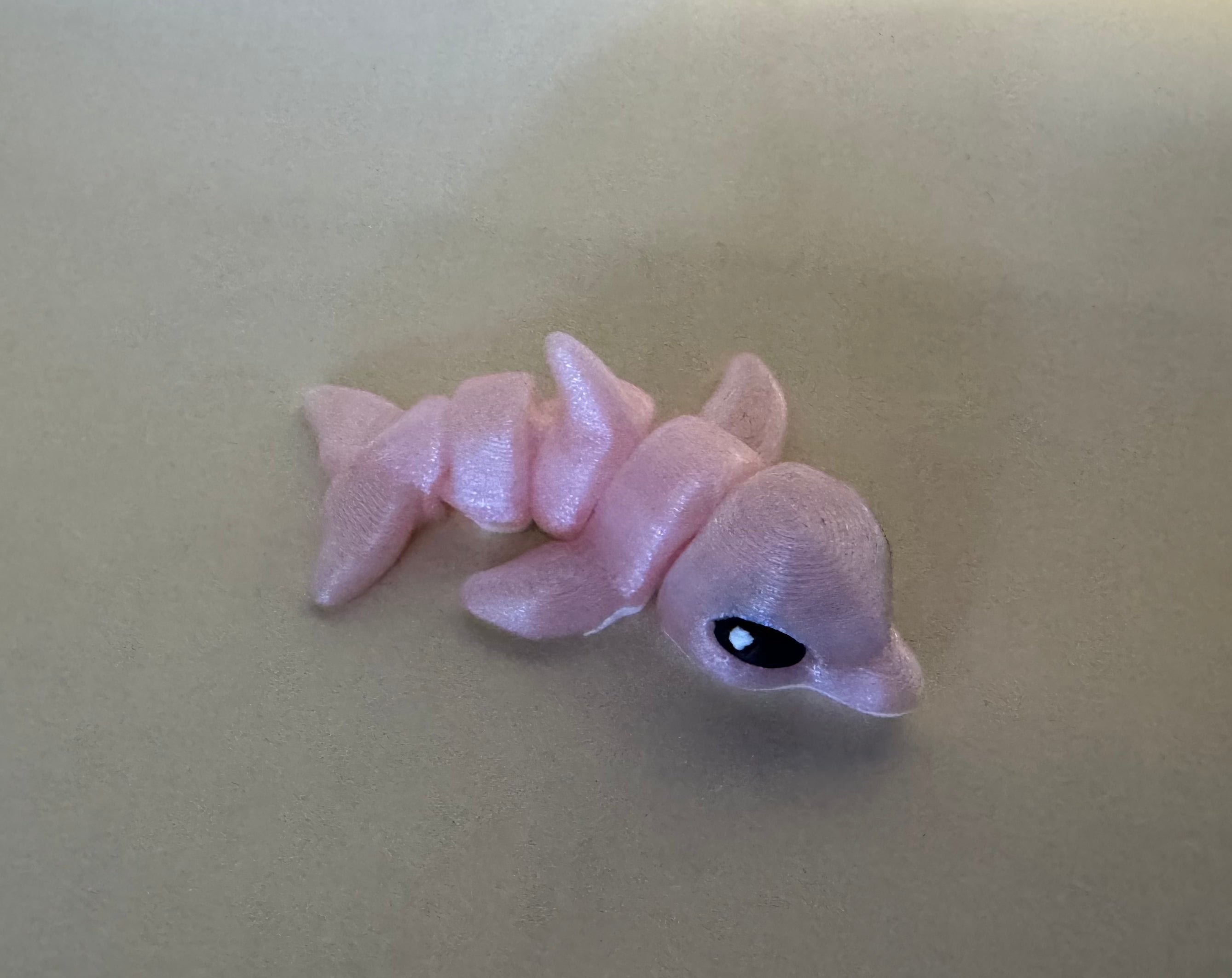 Dolphin Hatchling