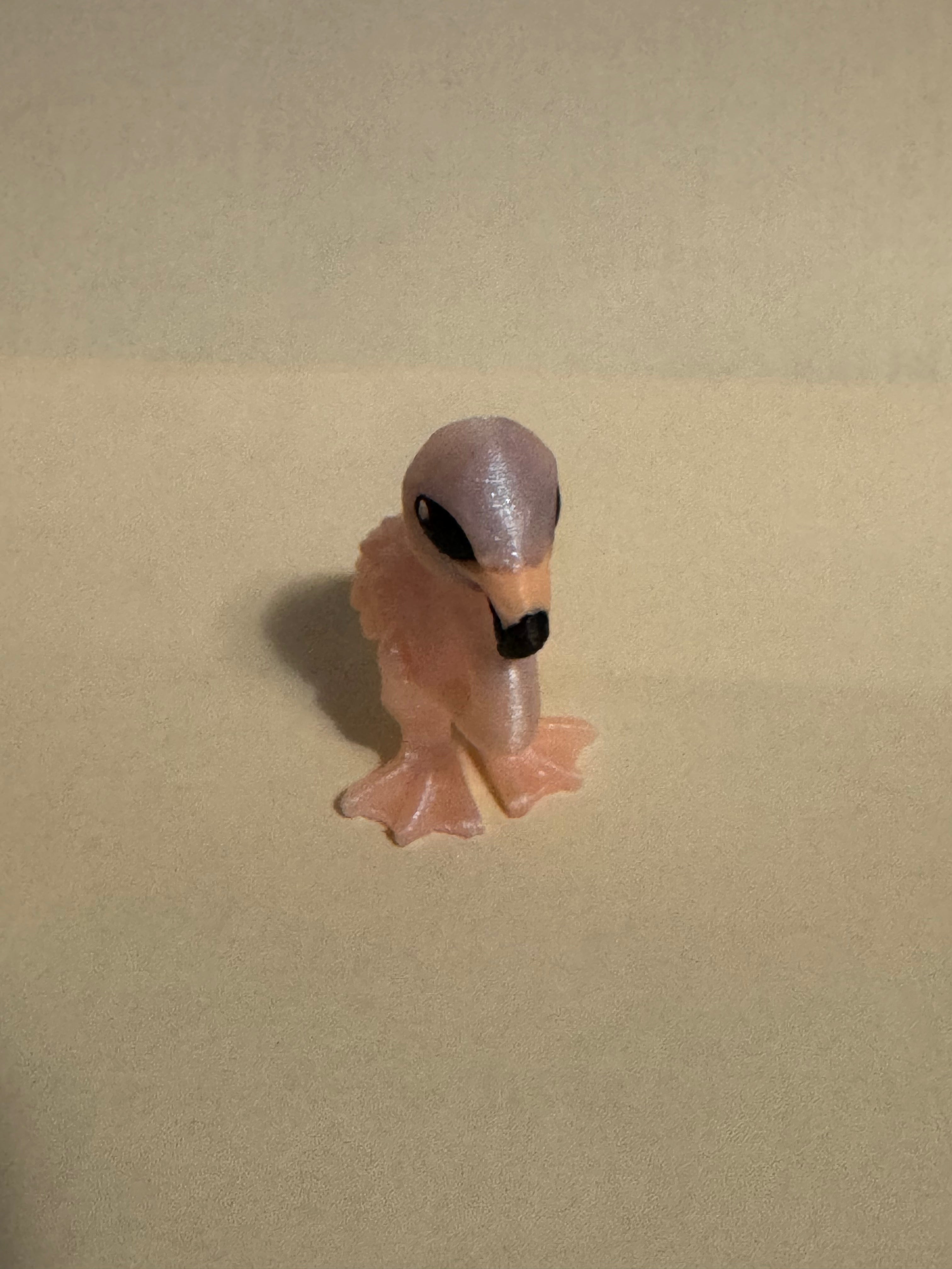 Flamingo Hatchling