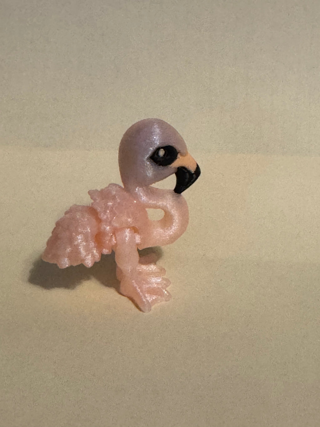 Flamingo Hatchling