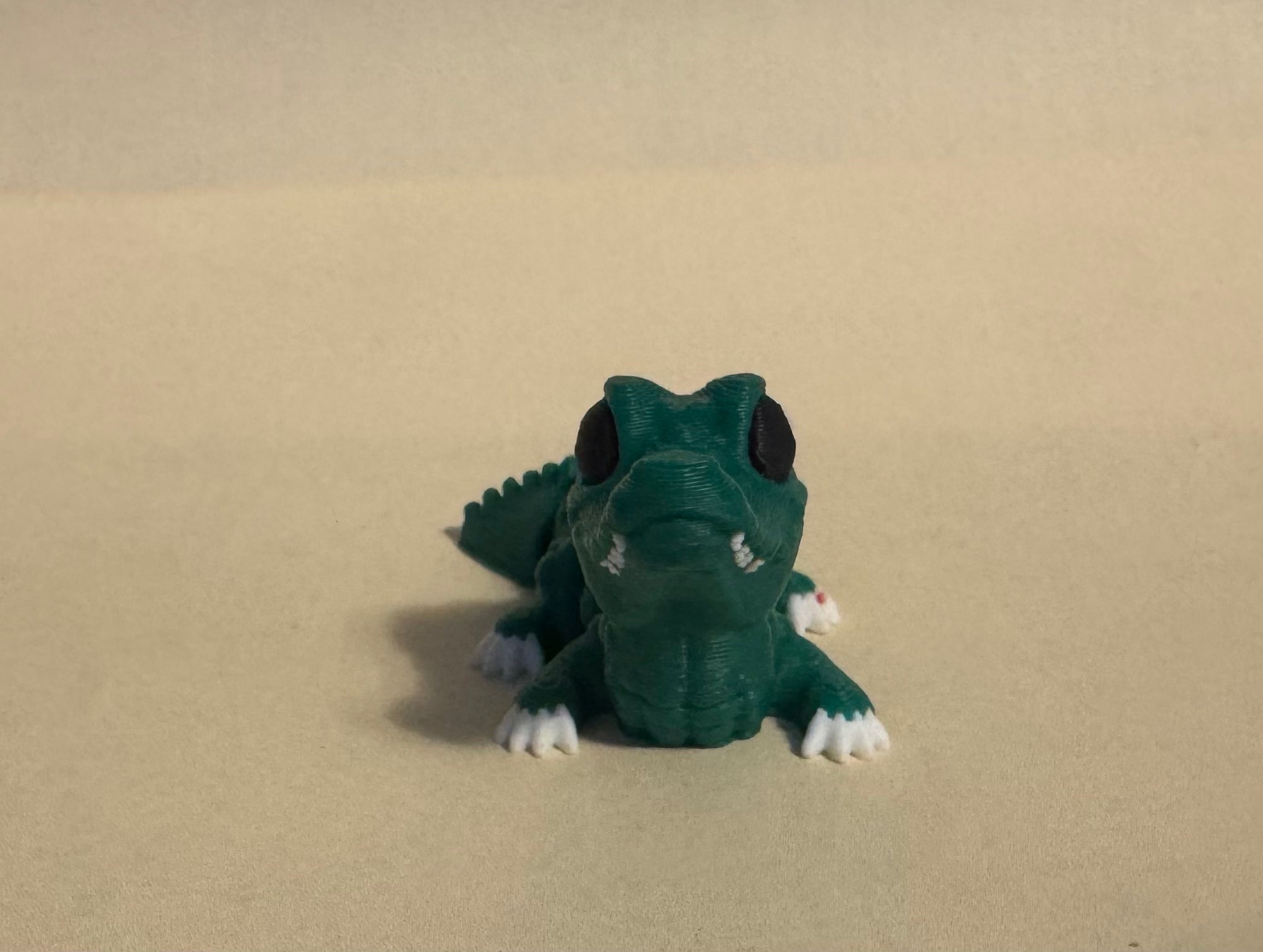 Crocodile Hatchling