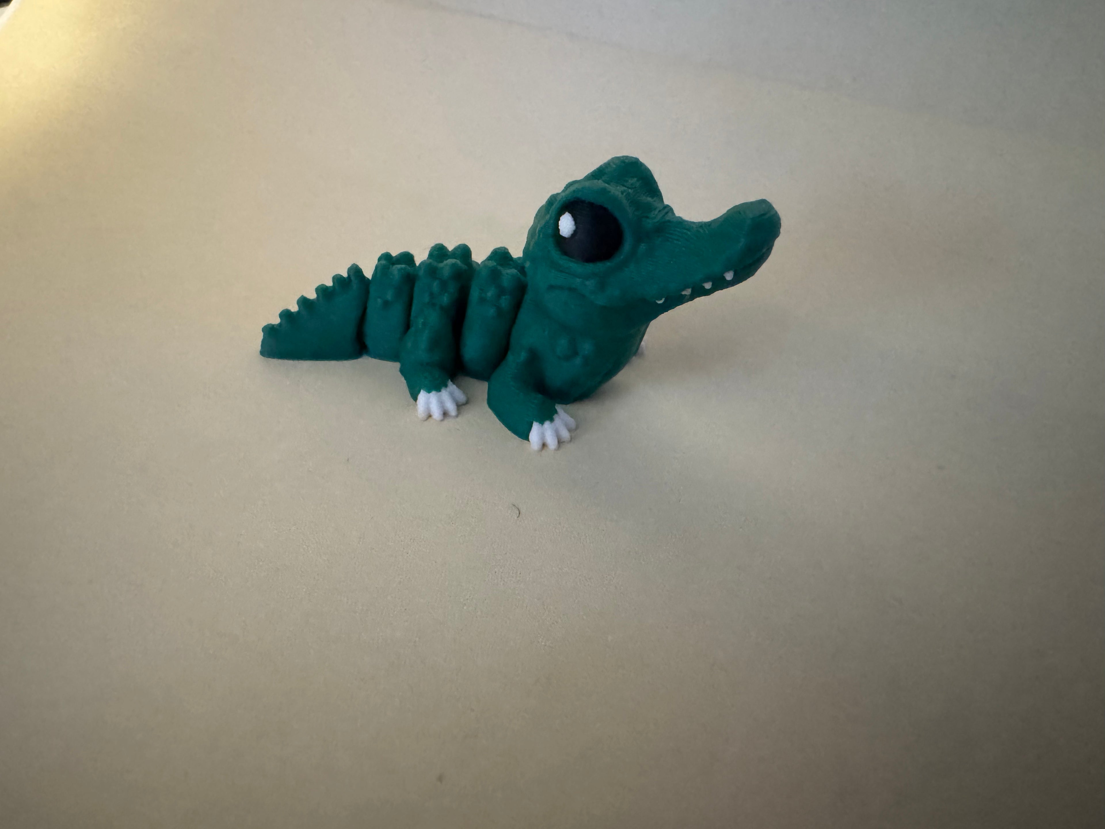 Crocodile Hatchling