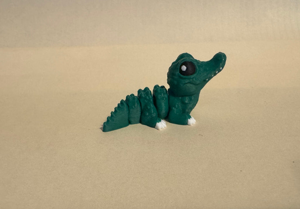 Crocodile Hatchling
