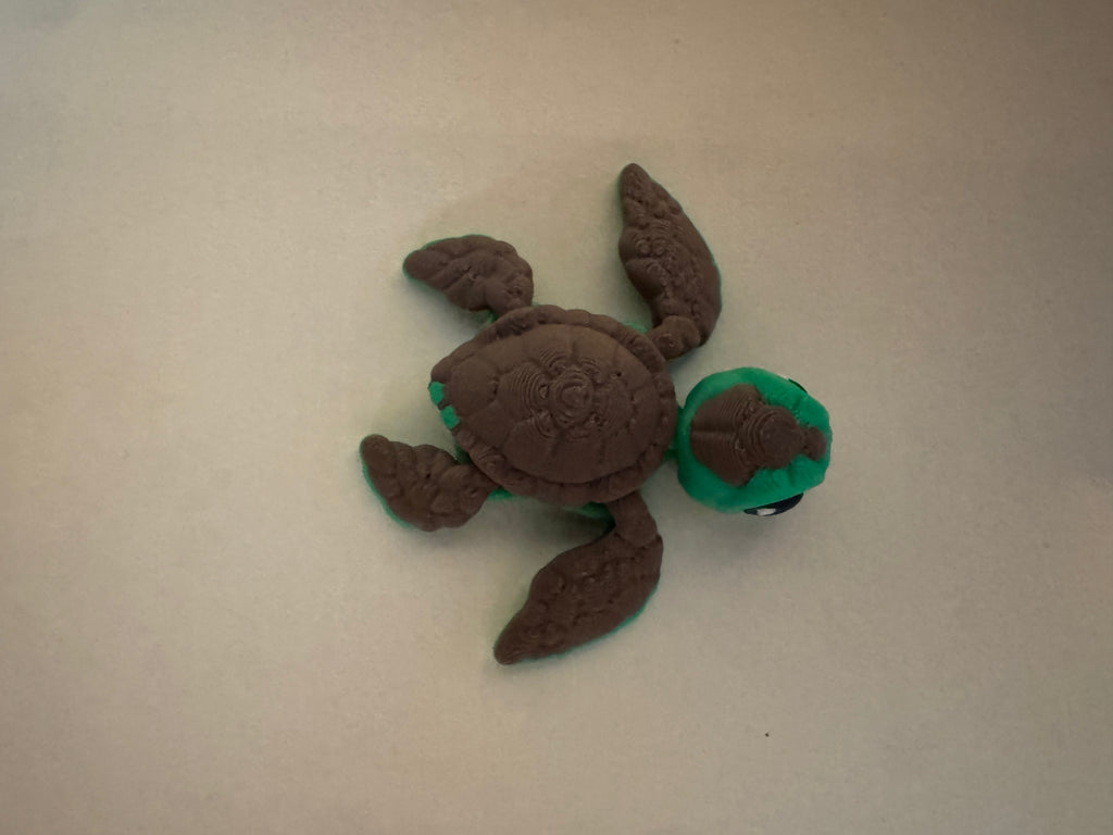 Turtle Hatchling