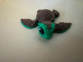 Turtle Hatchling
