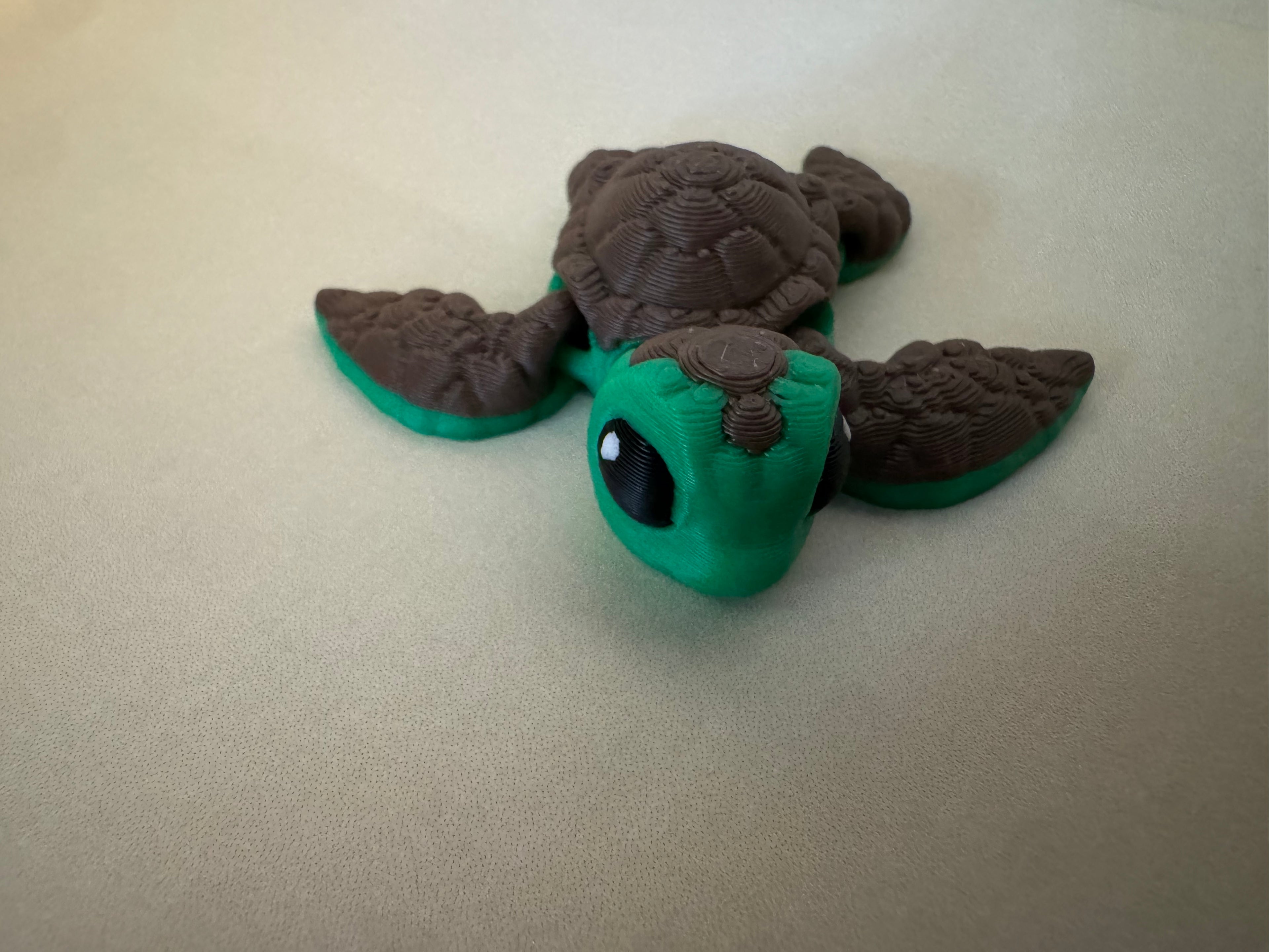 Turtle Hatchling