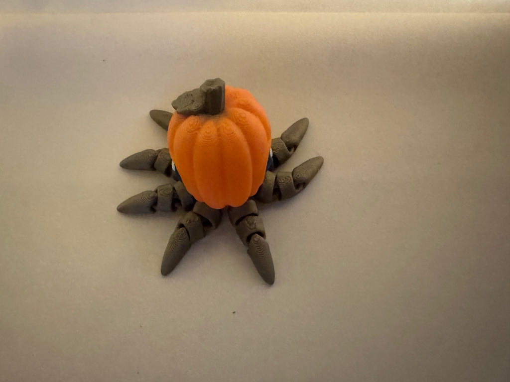 Tiny Pumpkin Octopus
