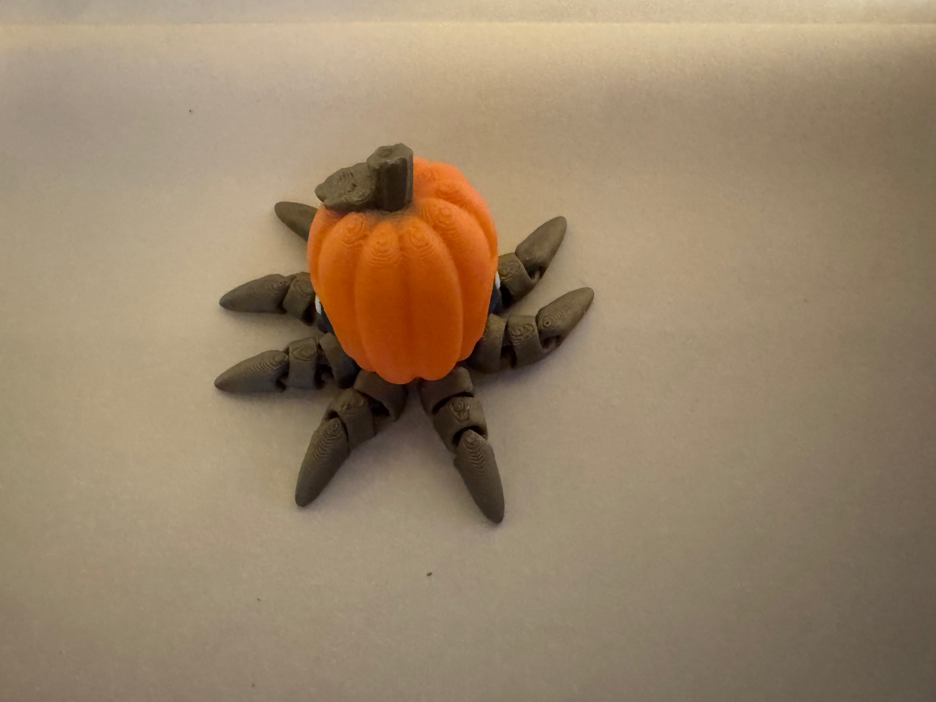 Tiny Pumpkin Octopus