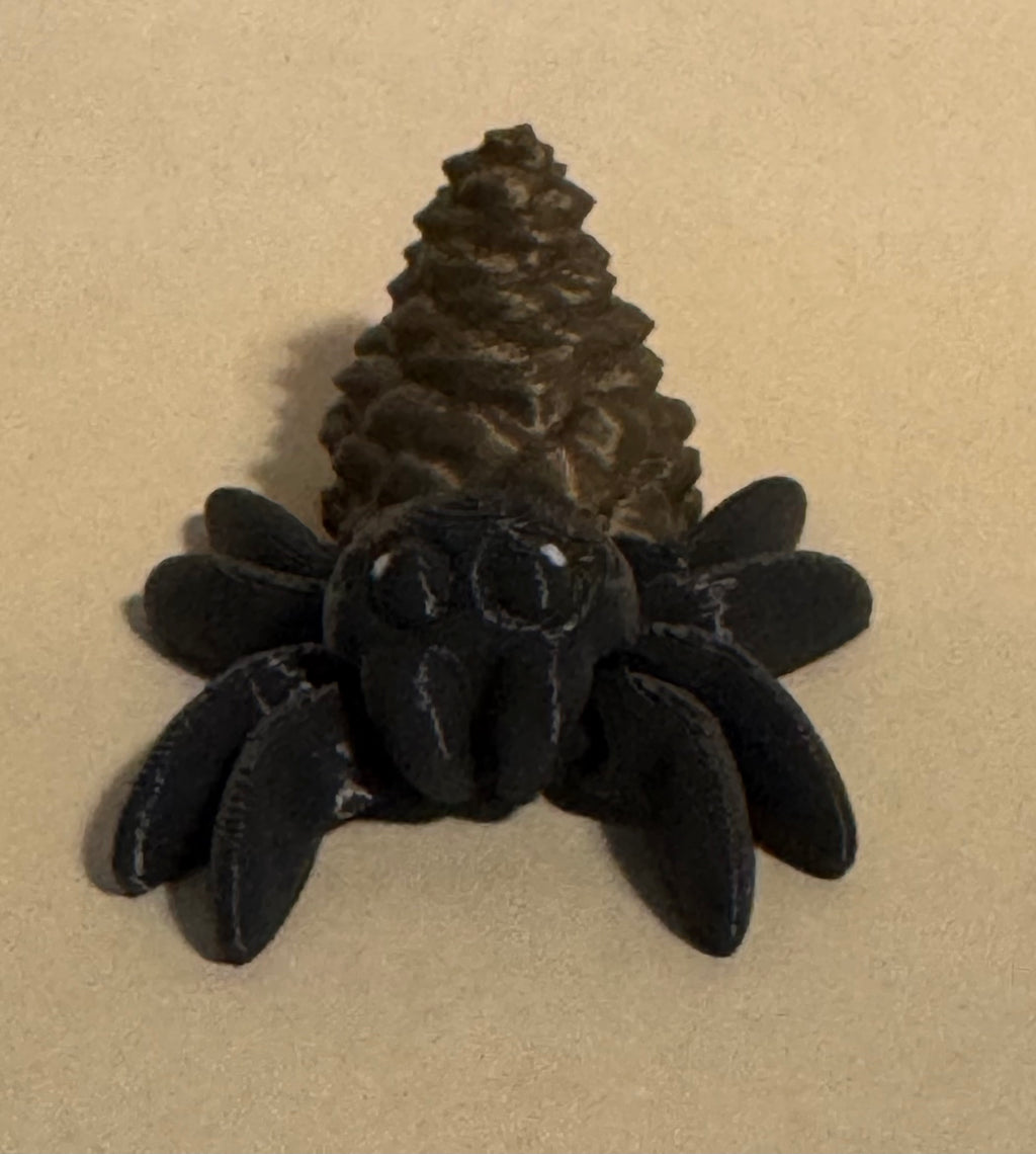 Pinecone Spider