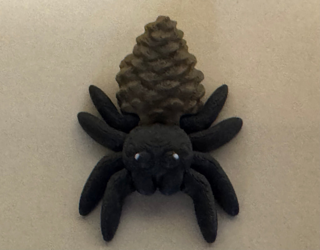 Pinecone Spider
