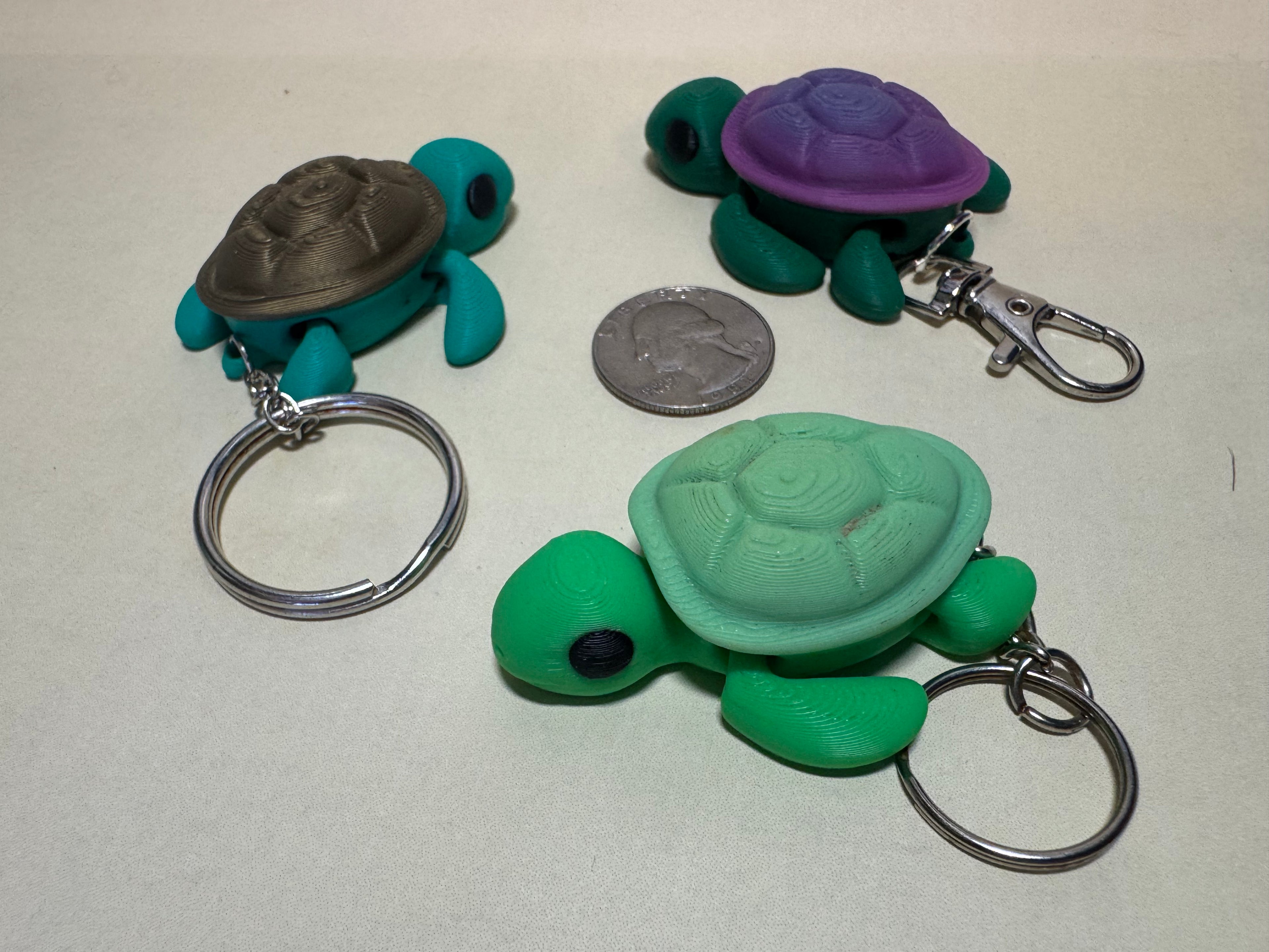 Turtle Keychain Companion