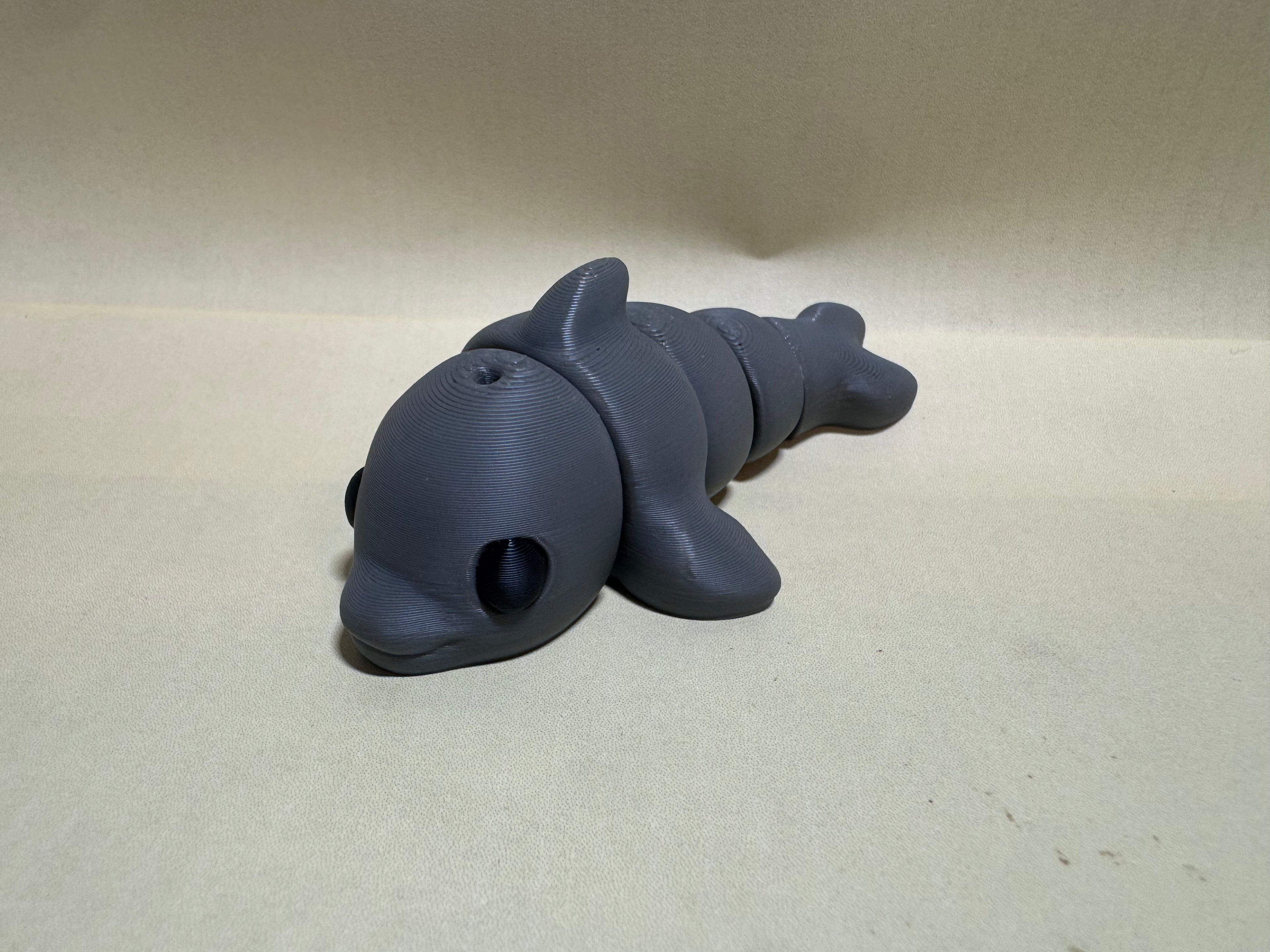 Dolphin - Micro-flexis