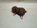 Mini Sloth - DBS