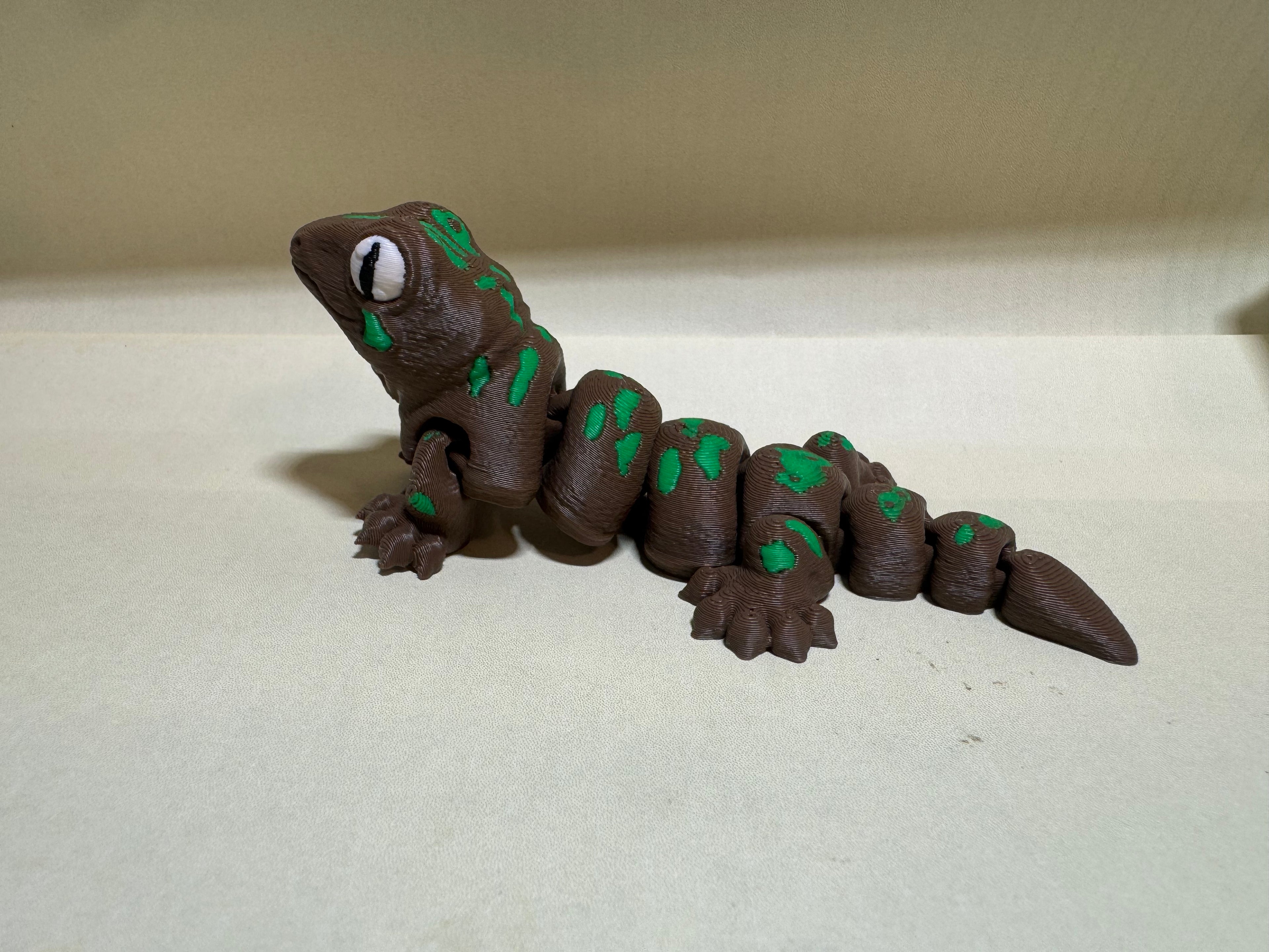Giant Caledonian Gecko - RB