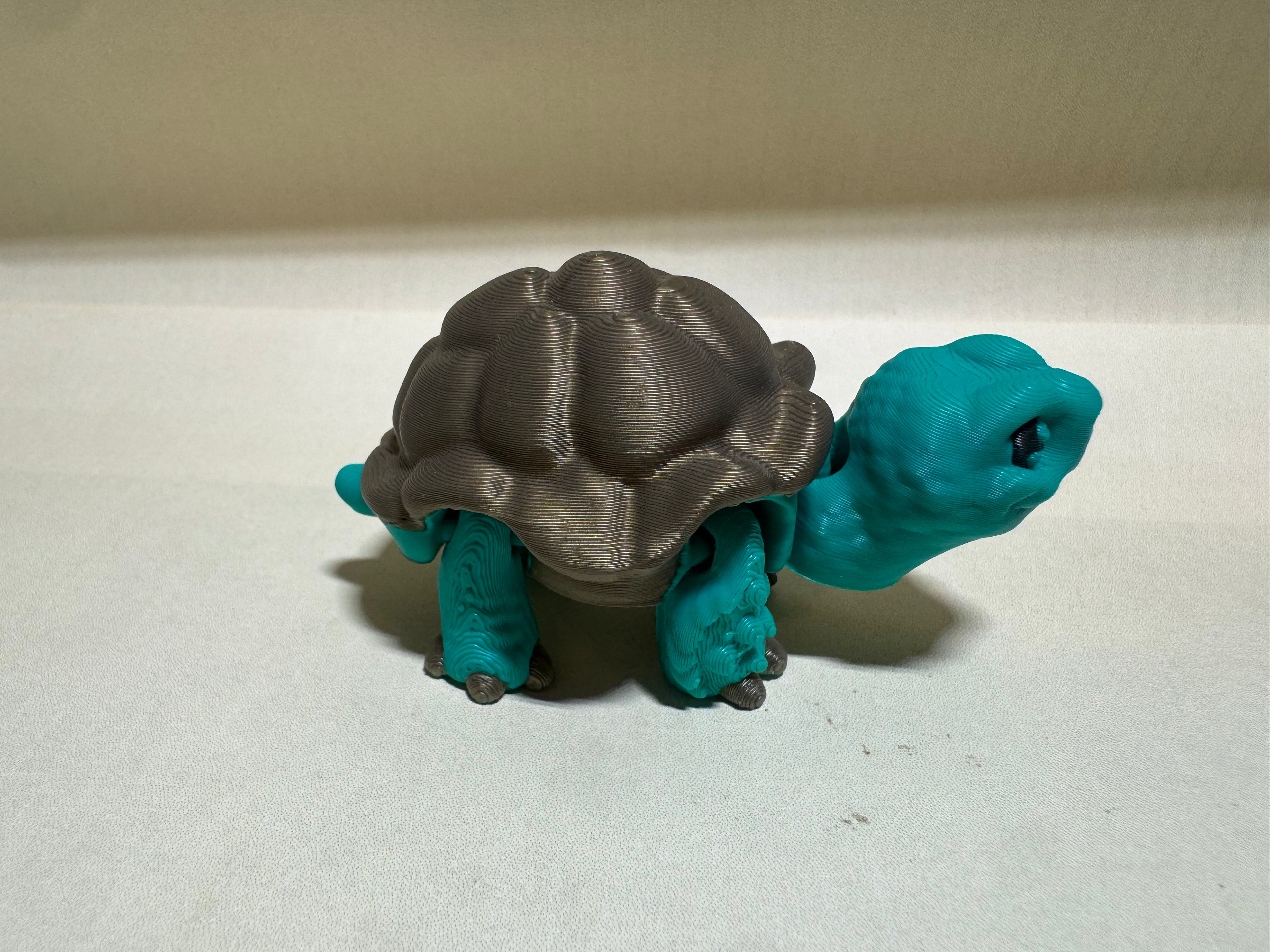 African Spur-Thighed Tortoise Micro Flexi