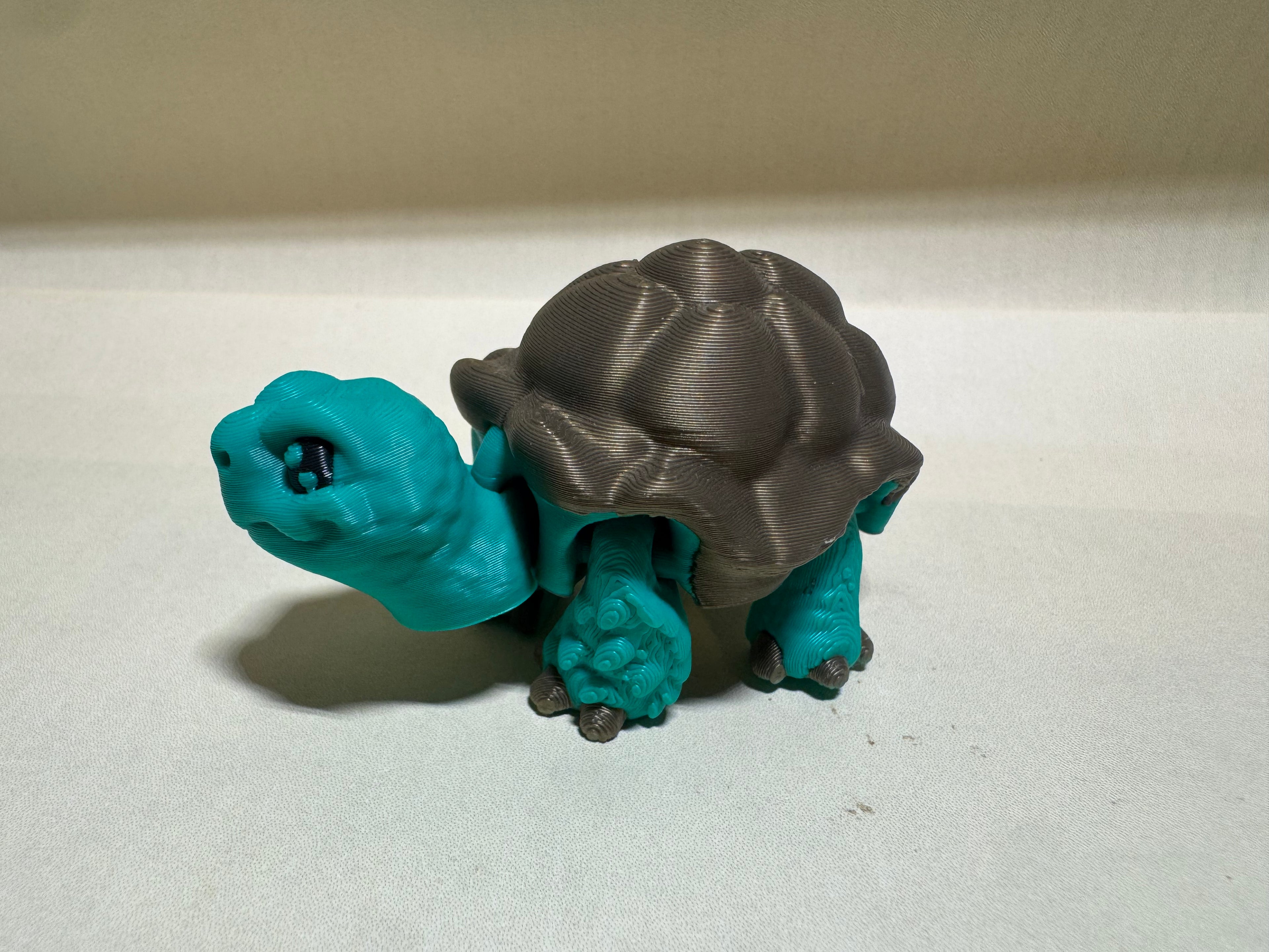 African Spur-Thighed Tortoise Micro Flexi
