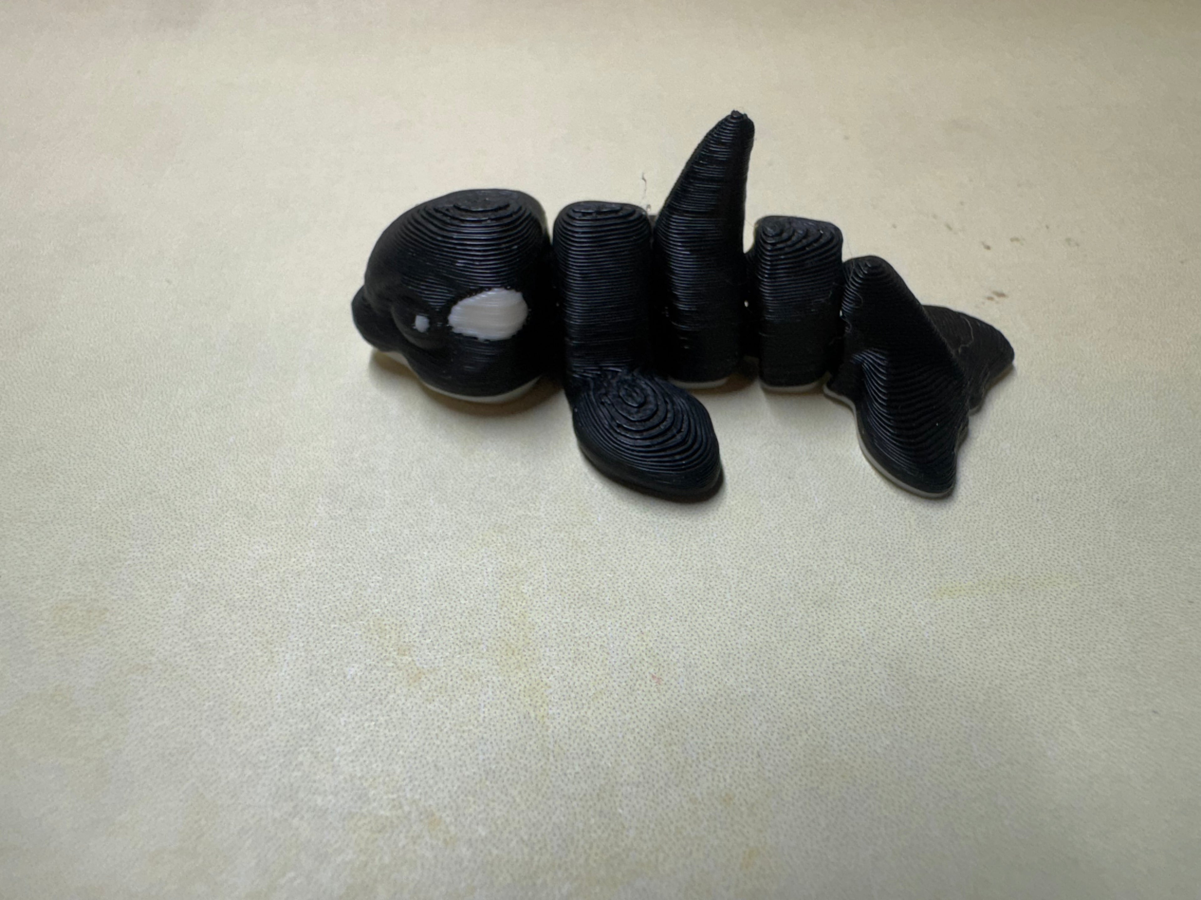 Orca Hatchling