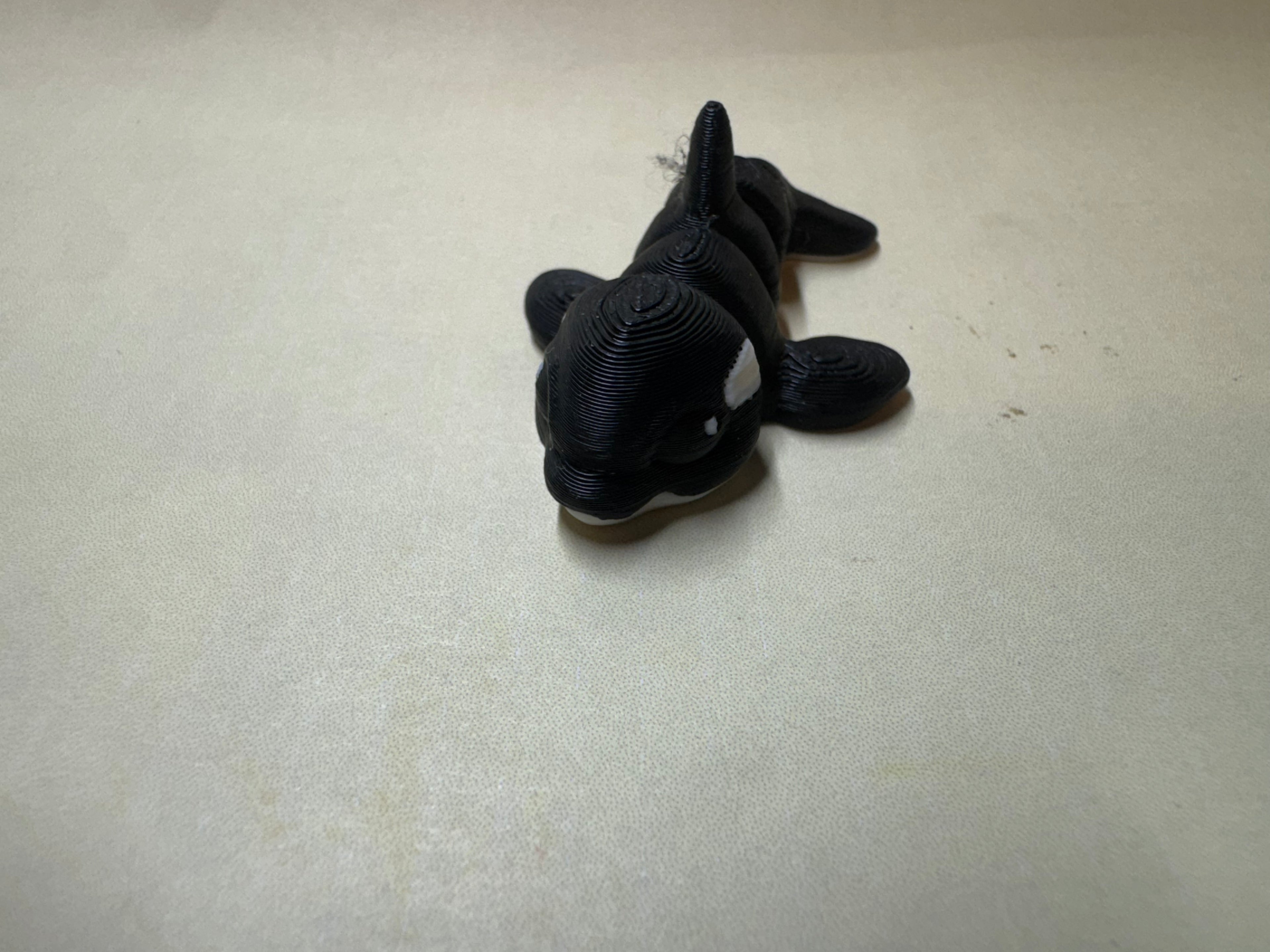 Orca Hatchling