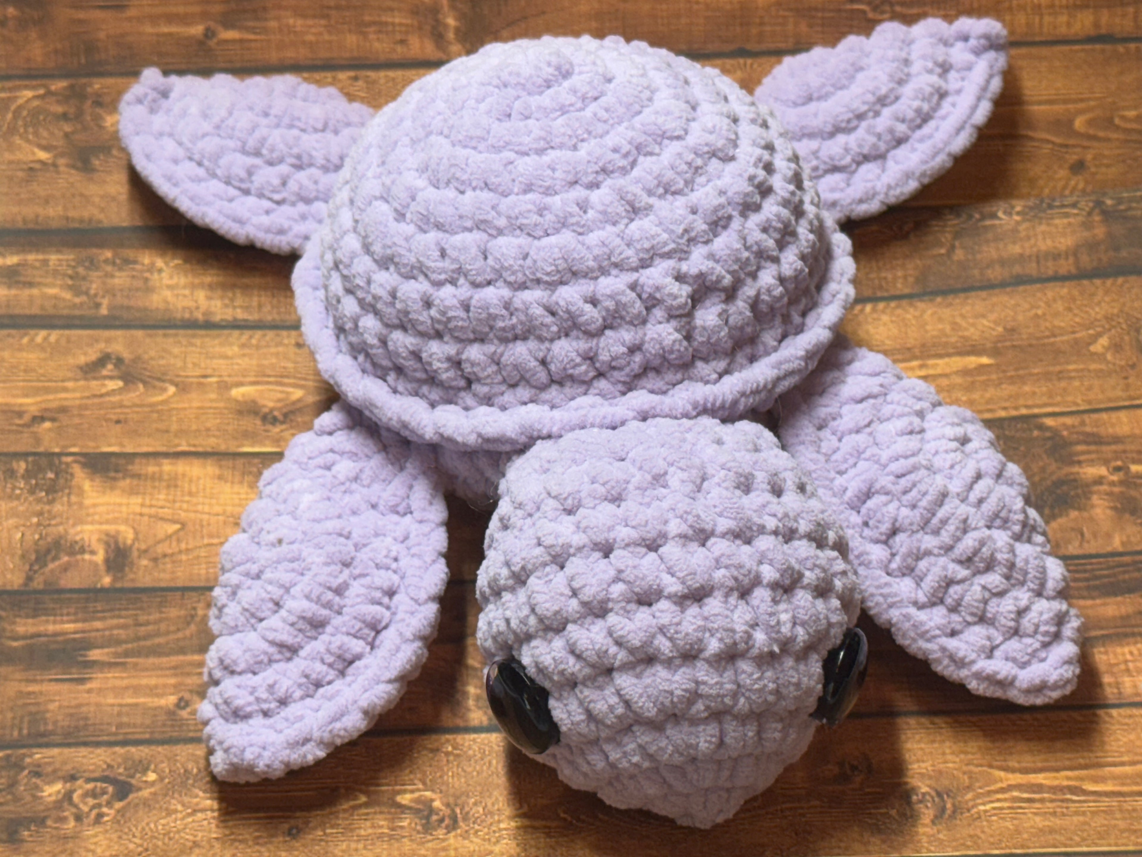 Sea Turtle - Underwater Buddies