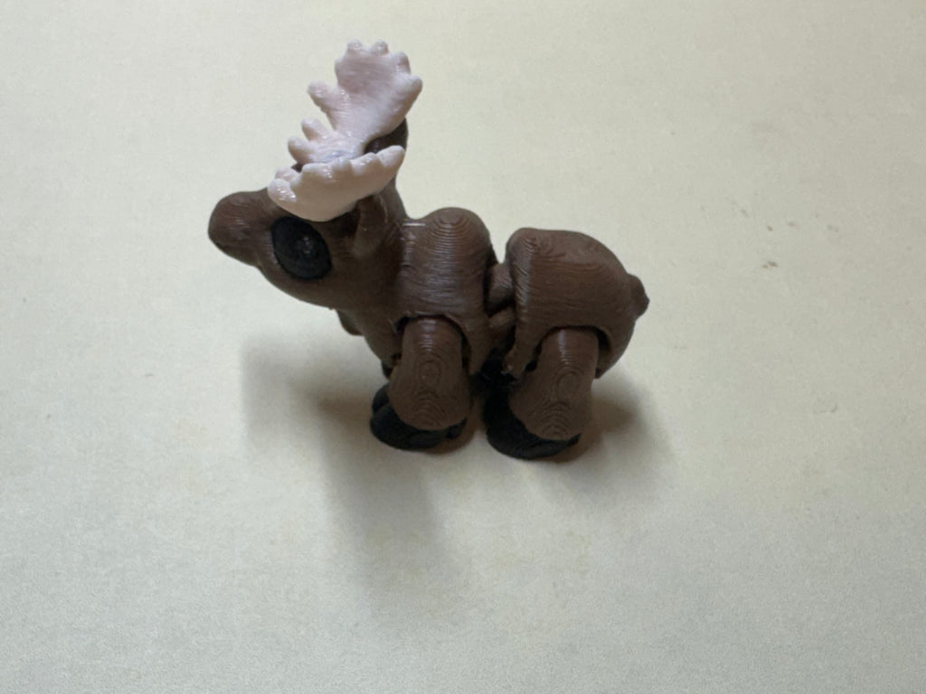 Moose (Male) Hatchling