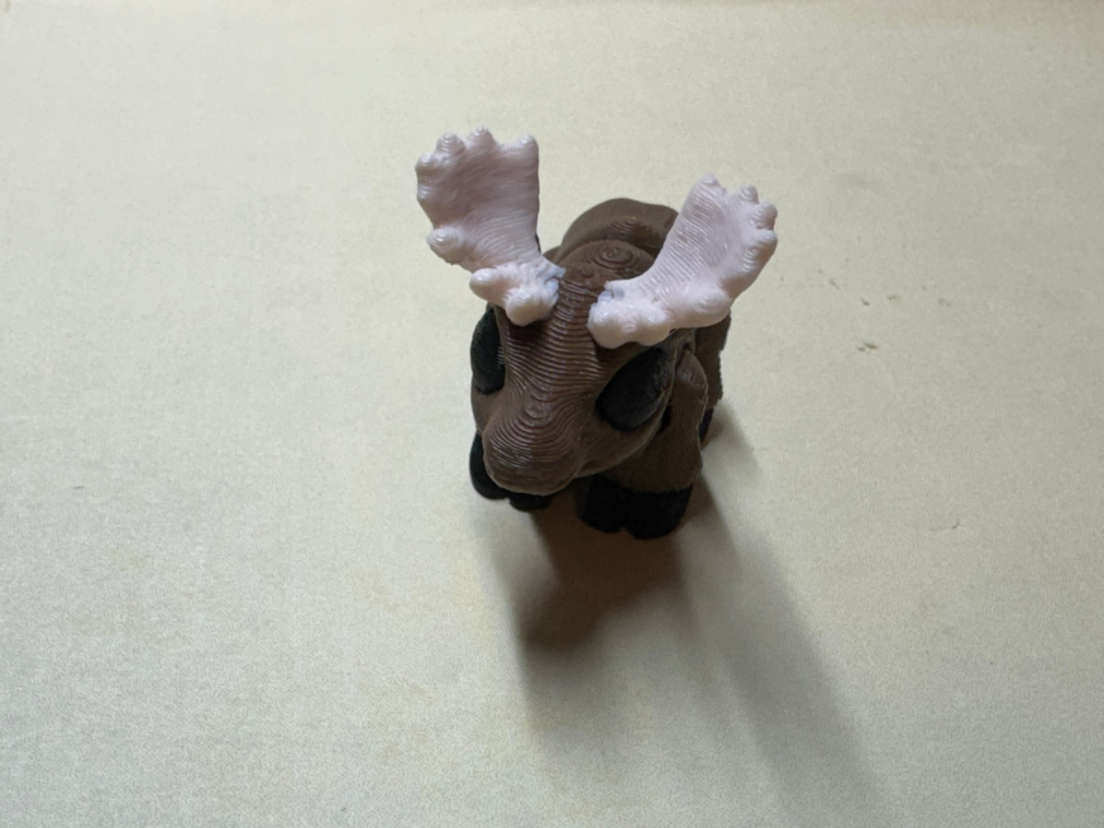 Moose (Male) Hatchling