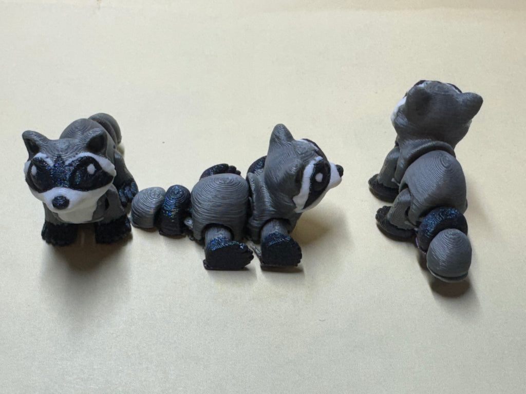 Raccoon Hatchling