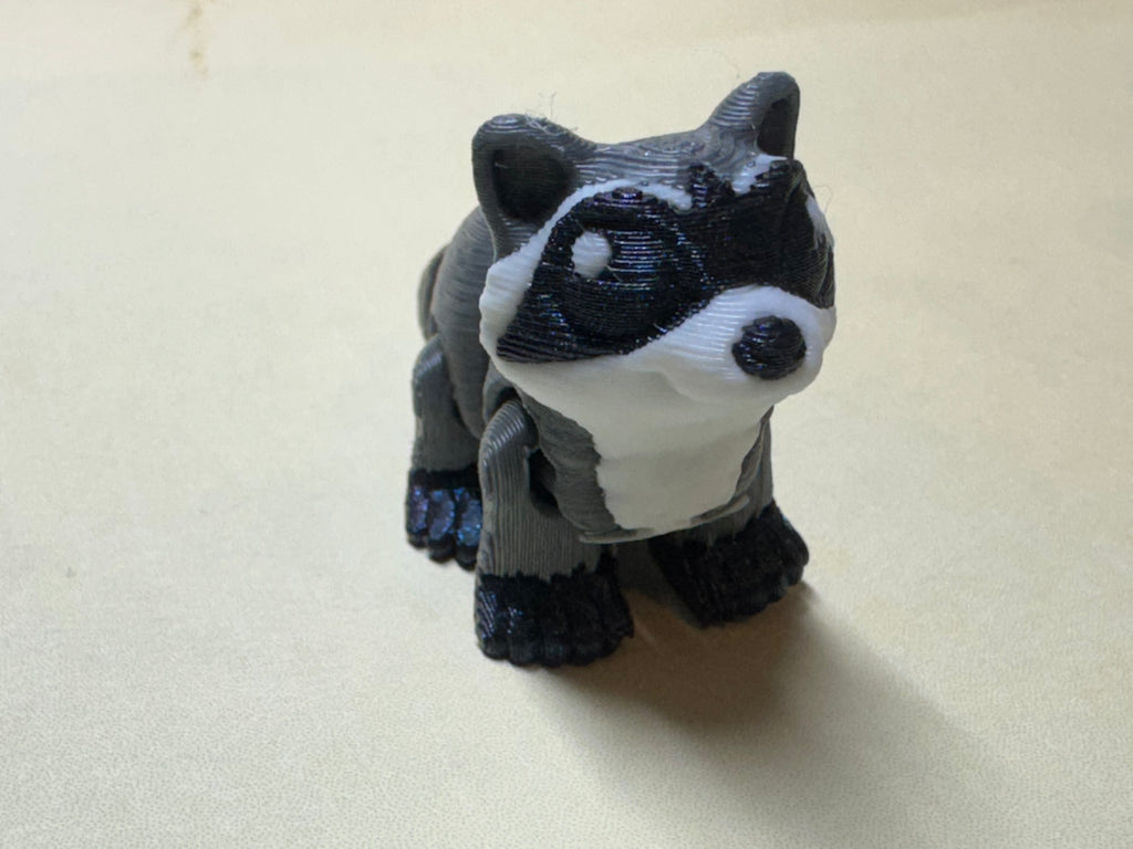 Raccoon Hatchling