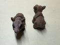 Moose (Female) Hatchling