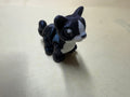 Cat Hatchling