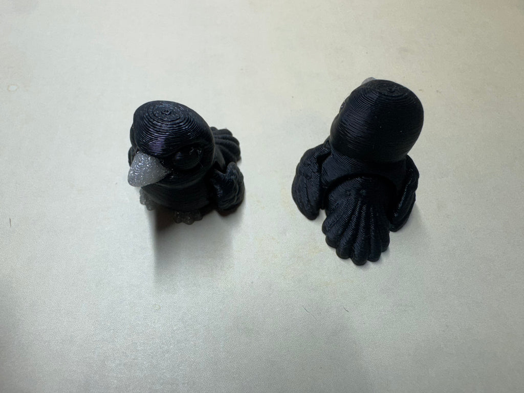 Crow Hatchling