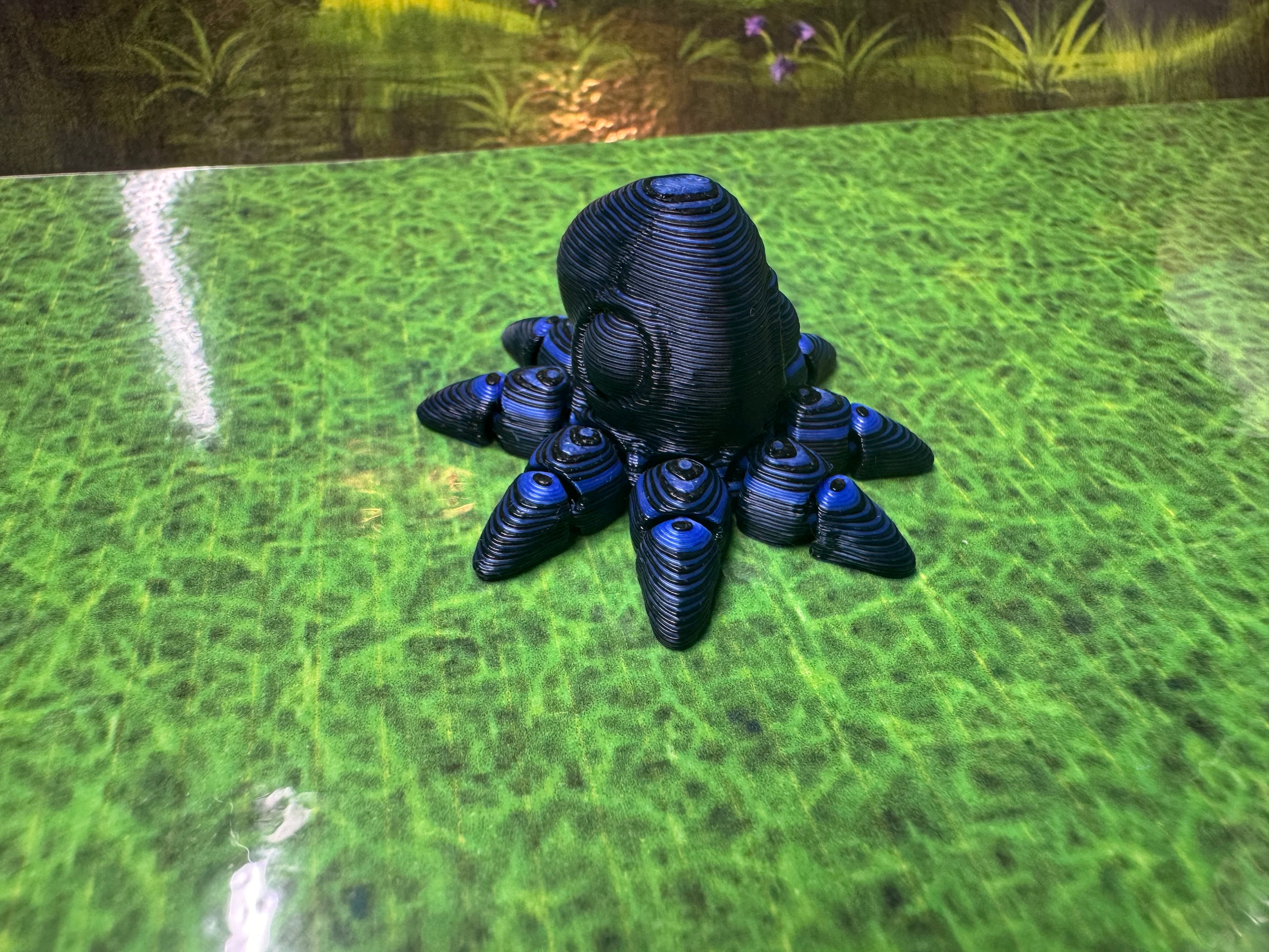 Octopus Hatchling