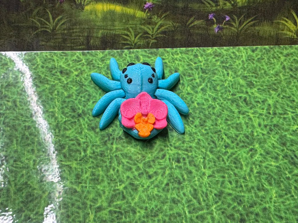 Orchid Spider