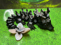 Baby Cherry Blossom Dragon