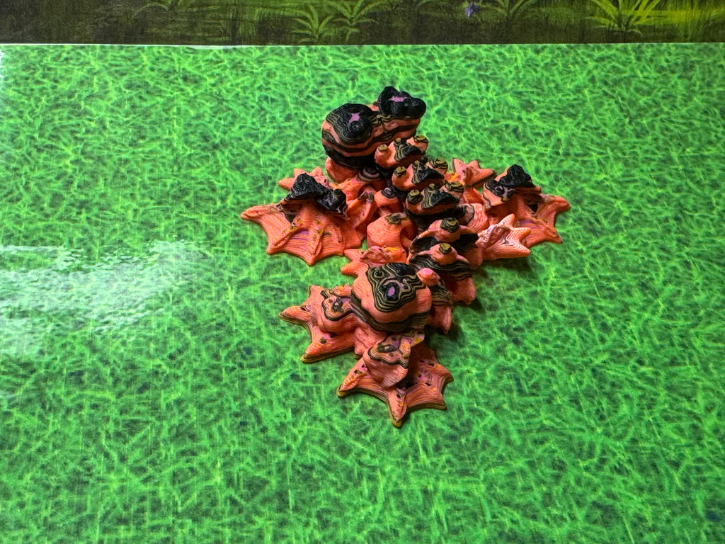 Tiny Mushroom Wyvern