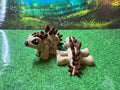 Fan Back Dino Hatchling