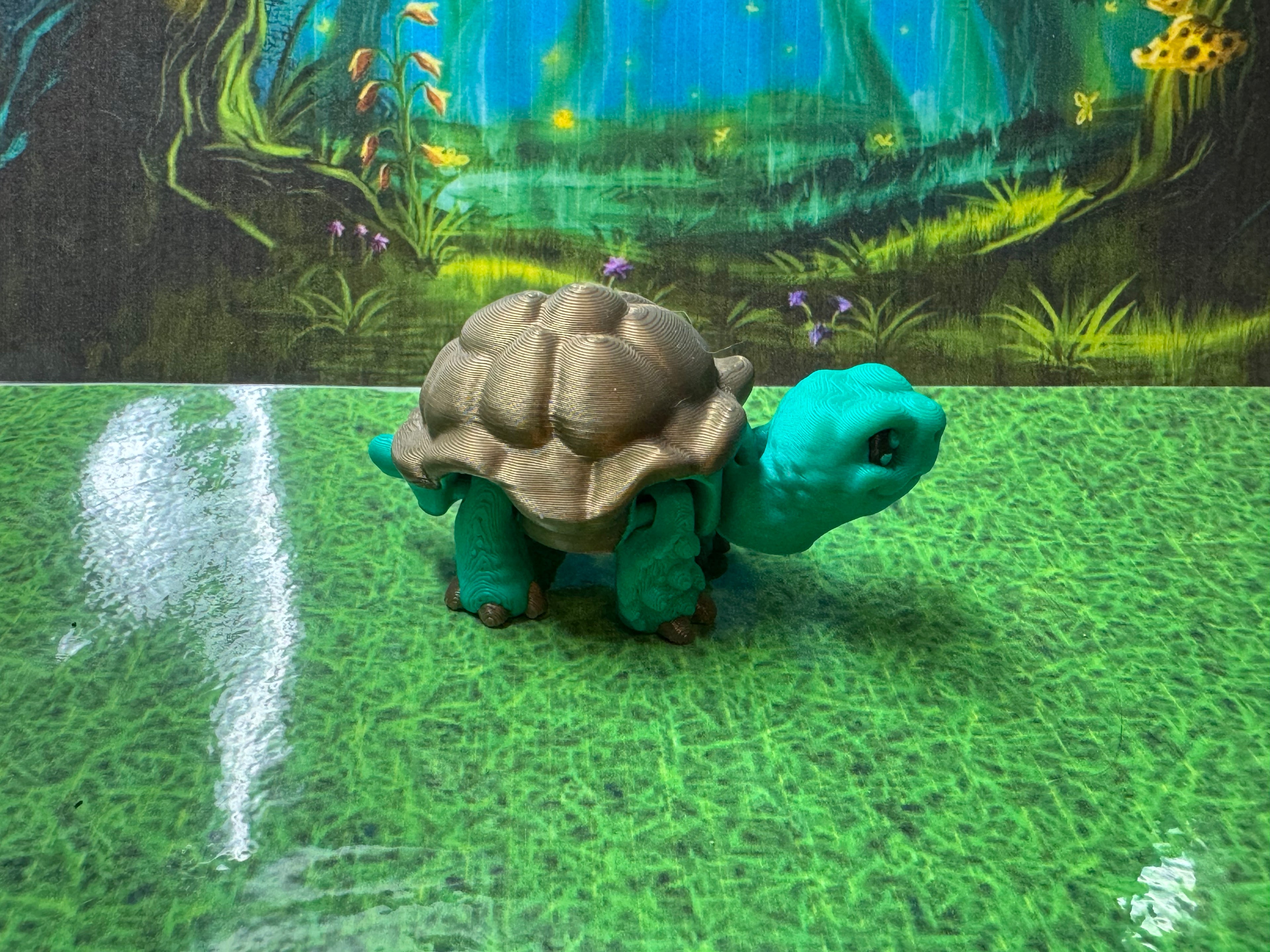 African Spur-Thighed Tortoise - RB