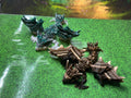 Nightwing Dragon Tadling