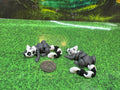 Tiny Ring-Tailed Lemur - KK